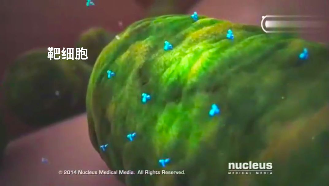 谈艾色变什么意思,谈艾色变怎么宣传