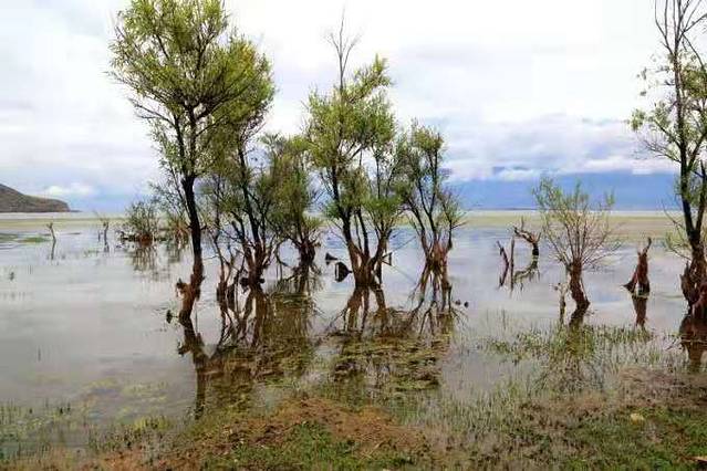 泸沽湖虎跳峡香格里拉怎么坐车,丽江香格里拉泸沽湖虎跳峡