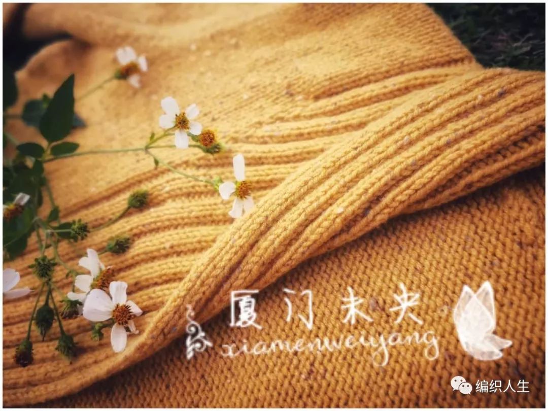 蕉香：云点粗花呢女士棒针翻领开衫外套毛衣（有翻译教程）