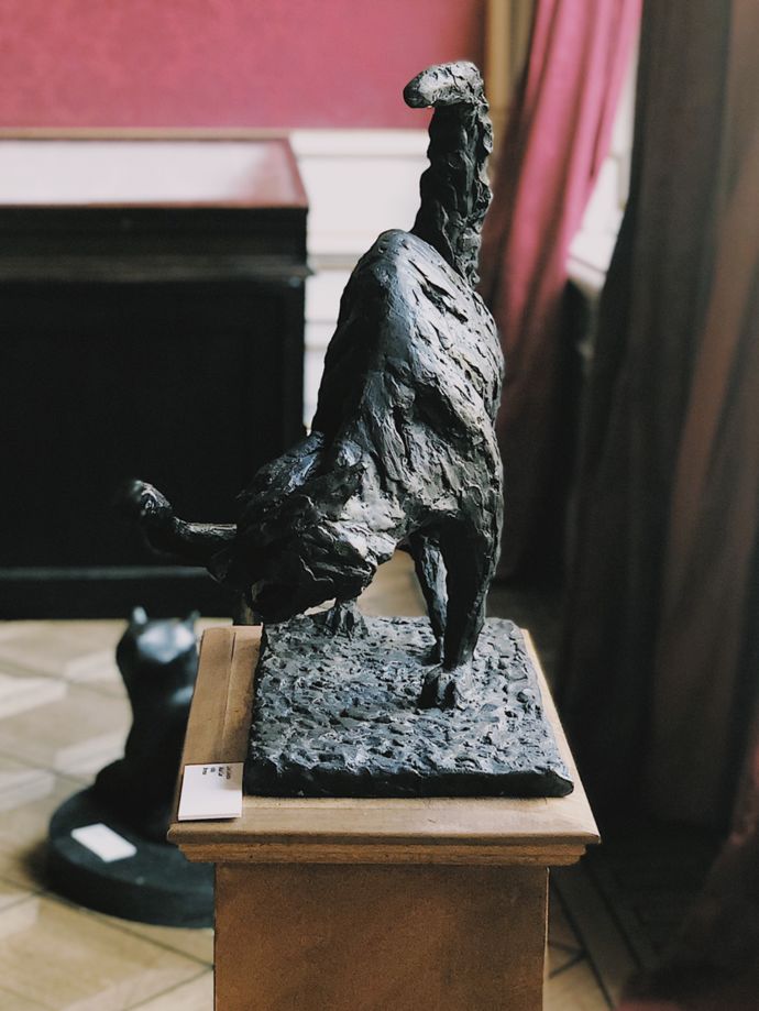 各种猫咪的博物馆,猫咪博物馆都有哪些猫