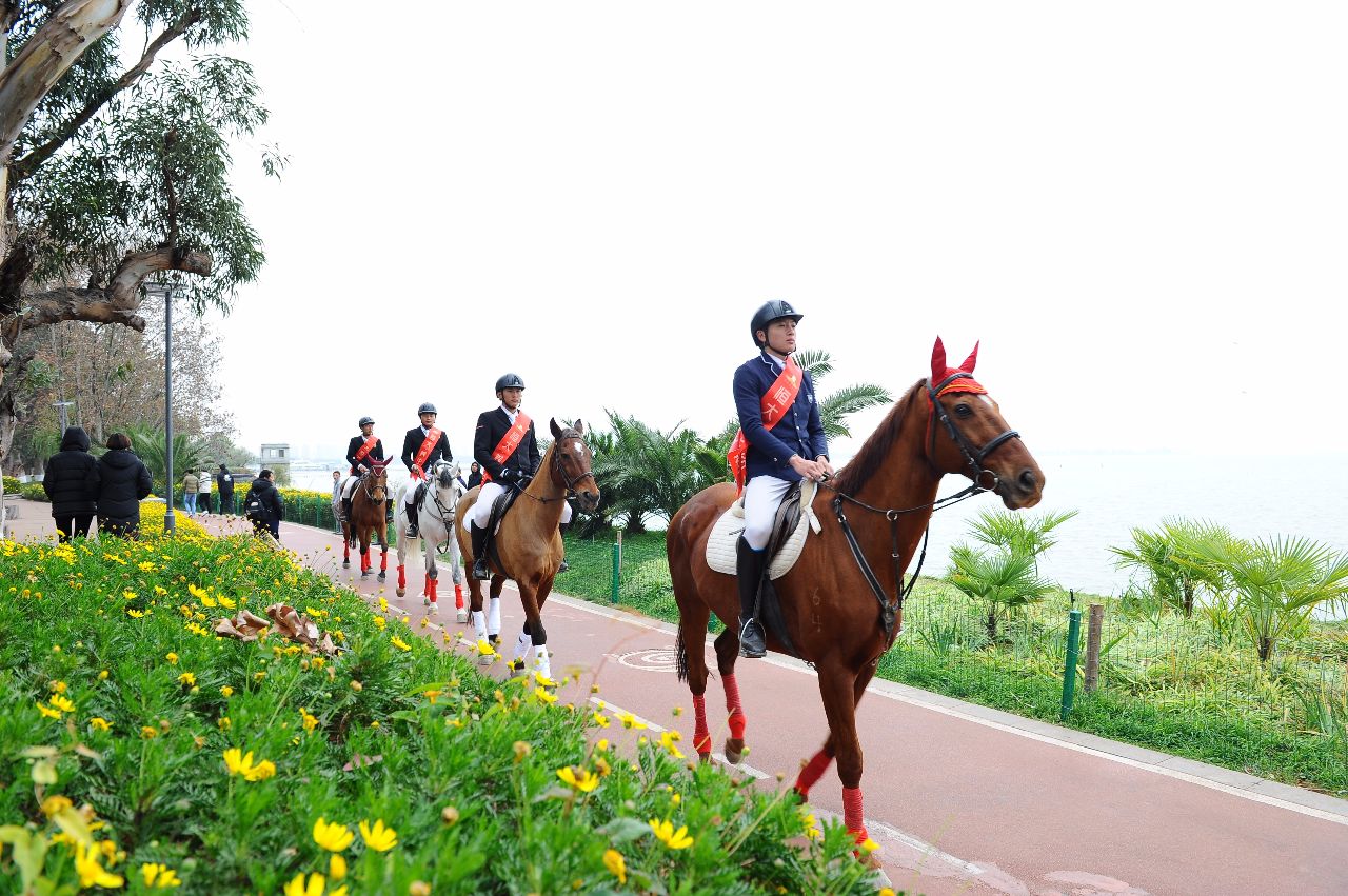 踏马滇池百万名马乘骑等你来体验