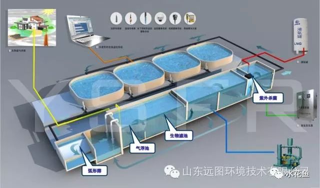 水产养殖净化水质标准最新,水产养殖净化水的方法