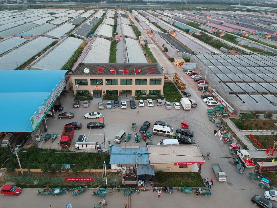 安丘田头市场调查：专业服务意识强议价有底气