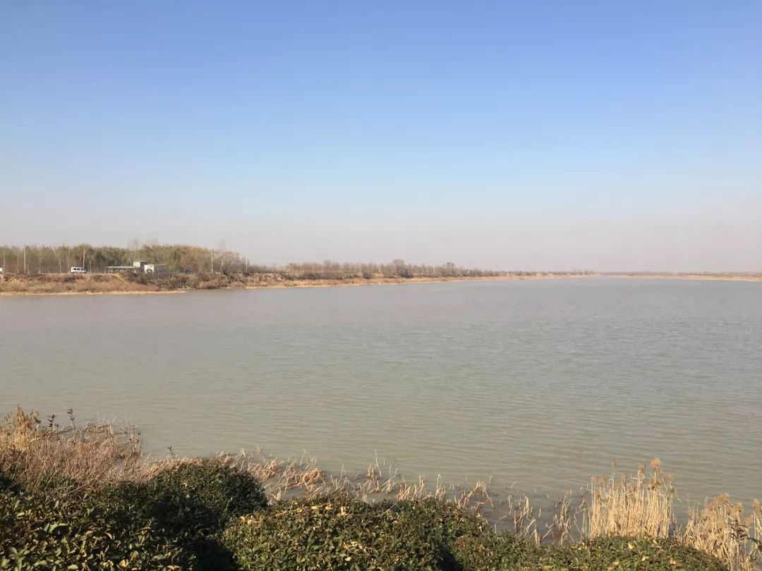 引黄济青工程改建最新消息,引黄济青示意图