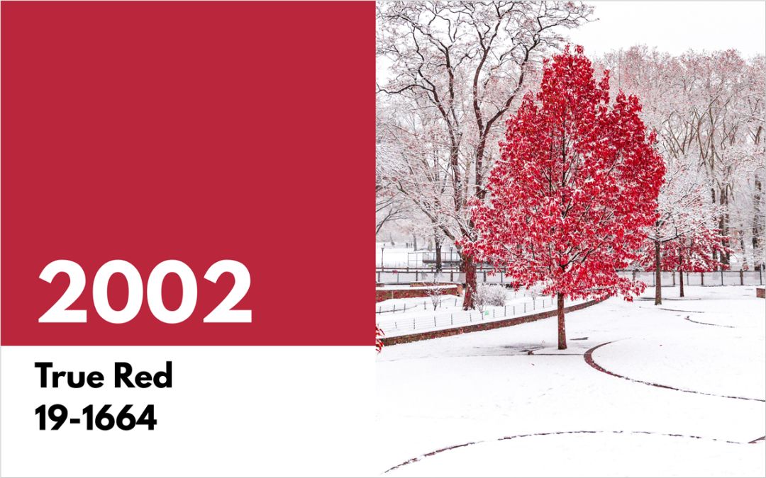 pantone2018公布流行色,pantone公布2020年年度颜色