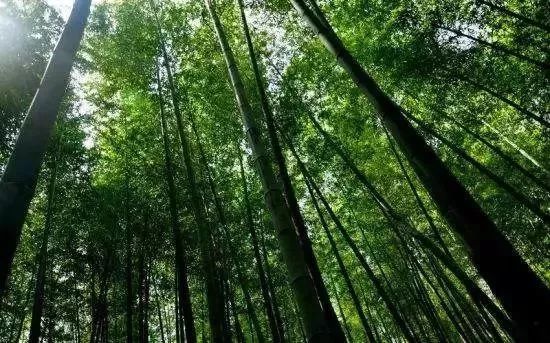 去一趟横溪，感受大型真香现场！