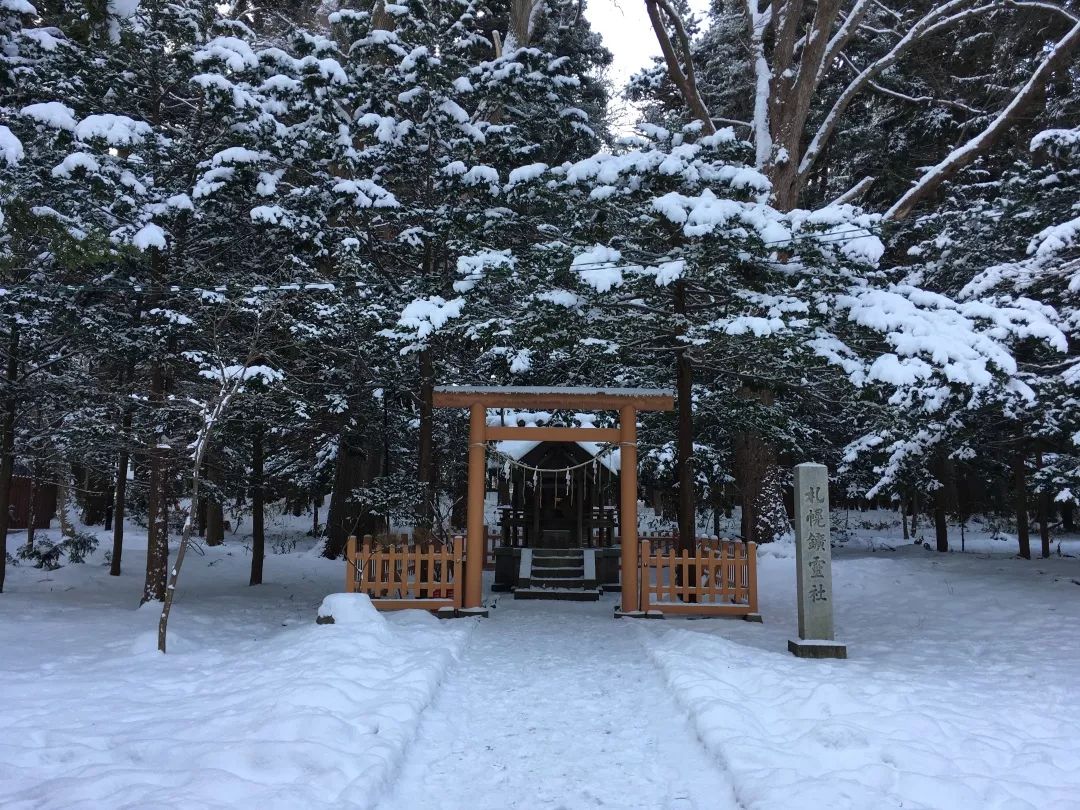 游记雪野湖作文,北海道游记