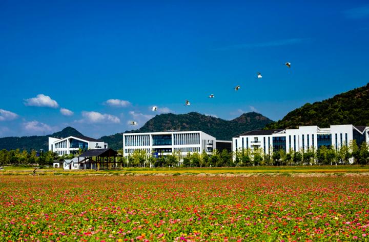 湘湖“当家人”这片碧水：有一种幸福叫创业和生活在湘湖