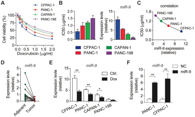 陈伟/柴可群Theranostics：嵌合肽超分子纳米颗粒用于靶向递送miRNA-9用于治疗胰腺癌