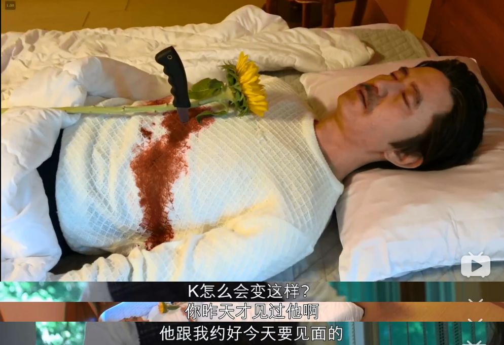 豆瓣9.8以上的节目,豆瓣9.7的小节目