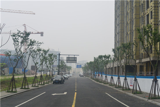 杭州19条道路新开通,杭州主城区这8条道路15日开通