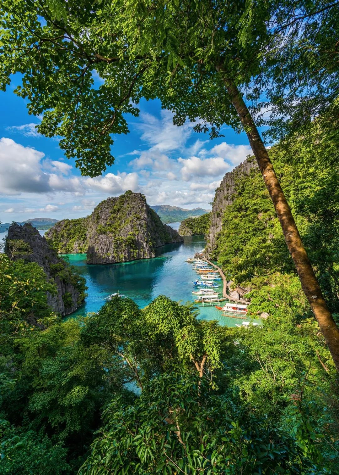 菲律宾塑料破碎,菲律宾碎尸案