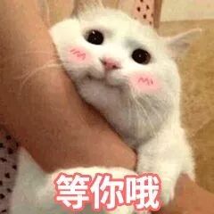 征名有奖励的名字,征名令丰厚奖金等你来取