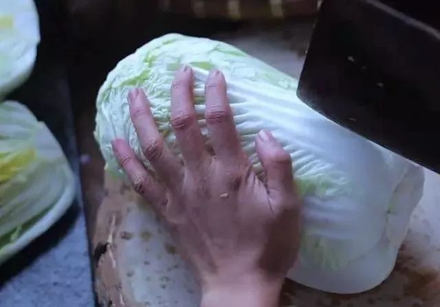 李子柒央视说最想做的三件事,李子柒受到央视表扬