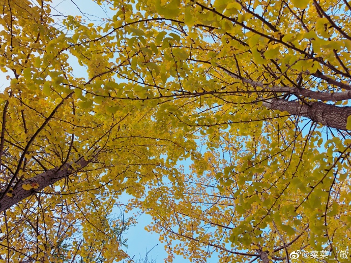 最新福州温泉公园,福州温泉公园