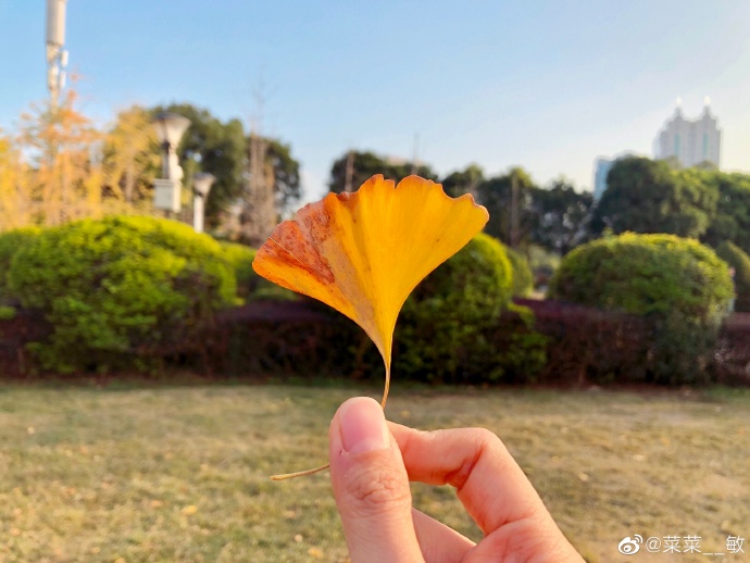 最新福州温泉公园,福州温泉公园