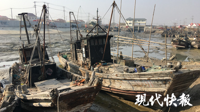 渔二代最新视频,渔二代直播卖海鲜