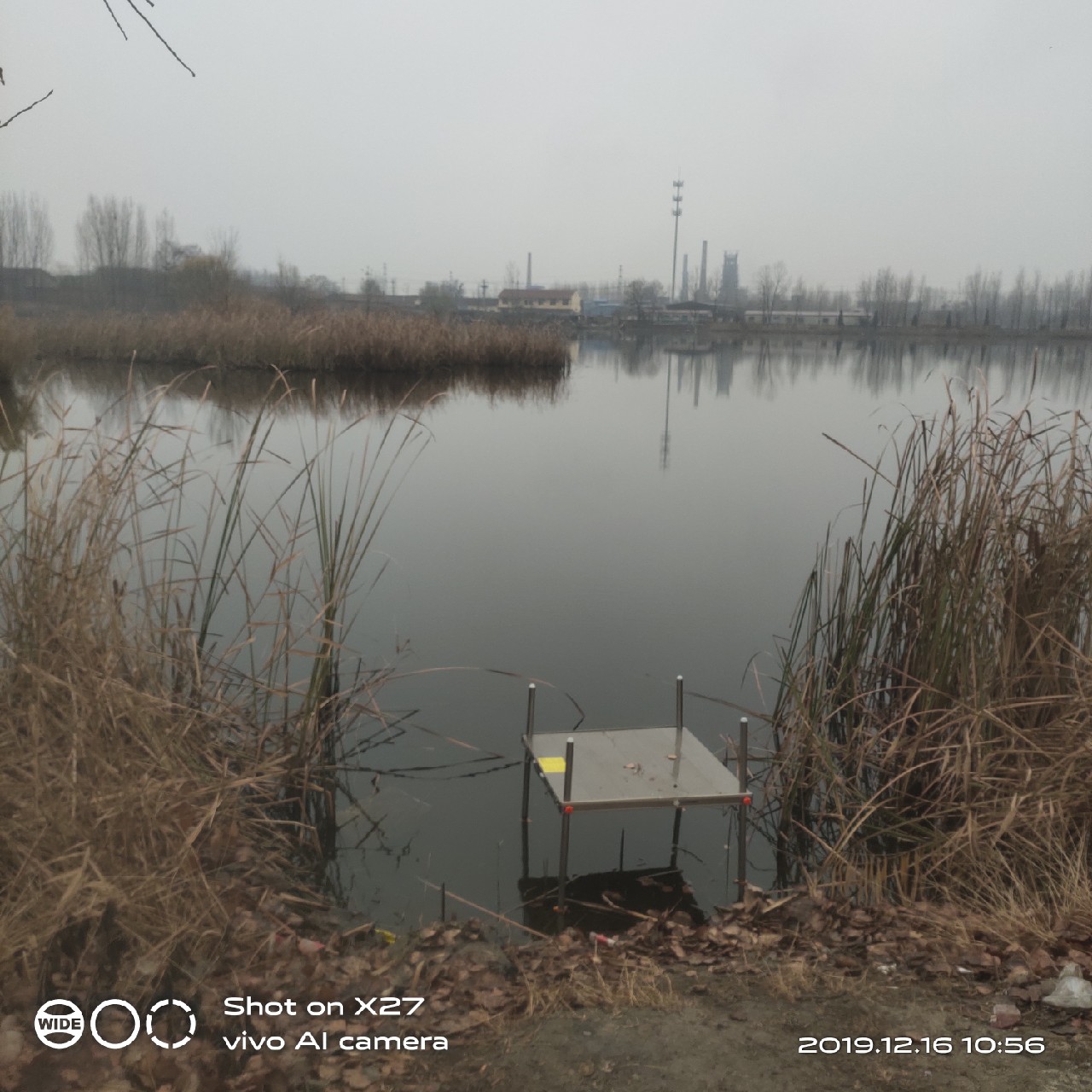 春天小雨天钓鲫鱼技巧和方法,钓鲫鱼的正确方法与技巧