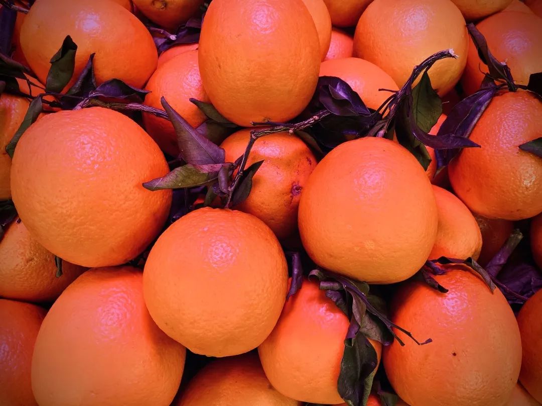 橘子柚子上火还是降火,柚子和橘子哪个可以去火