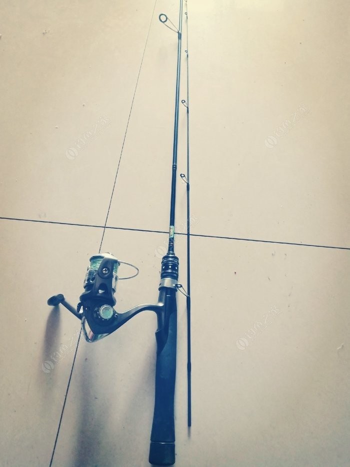 打中了第一尾白条后，我家人怀疑我在吸毒