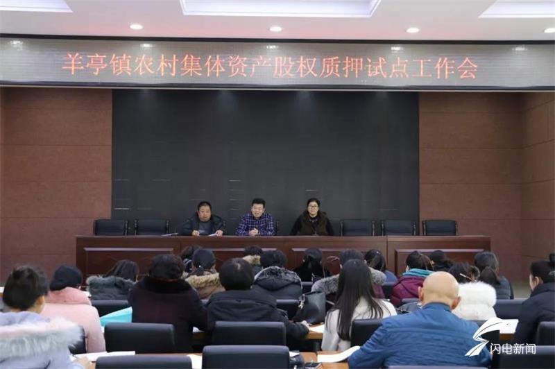 山东农村集体资产股权贷款,农村集体股权质押