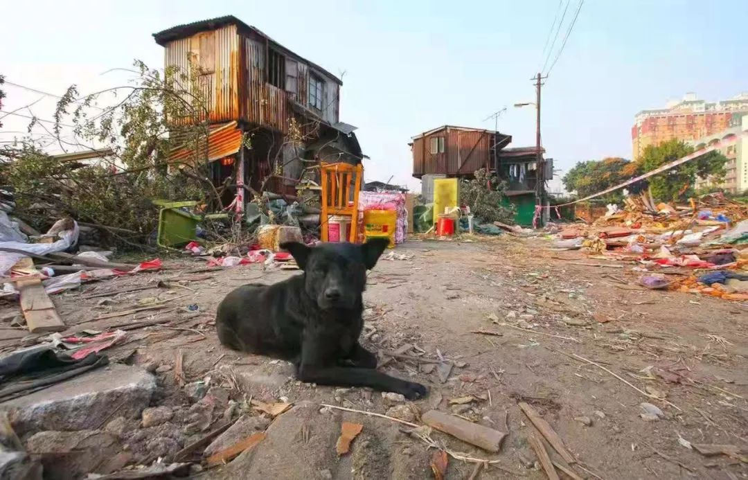 从天上看看你不曾见过的澳门,你没见过的图片