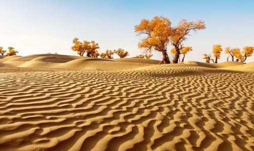 沙漠迷路为什么不能走直线,去沙漠走什么路线