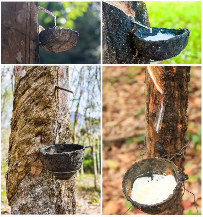 睡眠乳胶枕推荐,给大家推荐一款乳胶枕