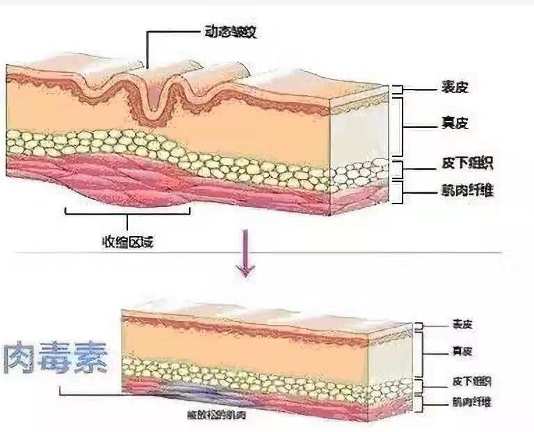 蒙自第一人民医院中医科,蒙自市中医院专家门诊
