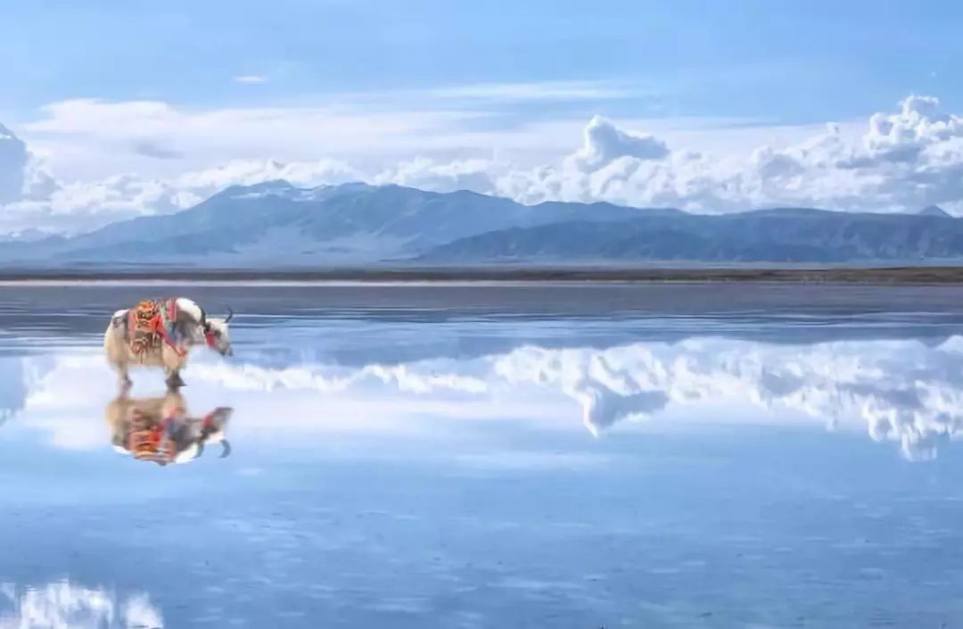 重点国有景区门票降价,这次门票降价的景区有哪些