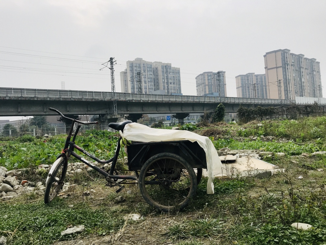 乱哄哄的集市,乱逛市场