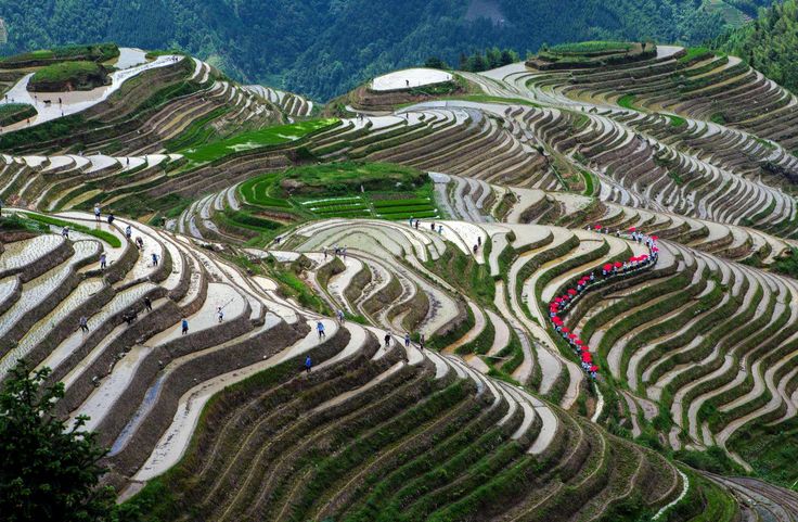 2020骞翠綑棰濆凡涓嶈冻,2019骞村凡浣欓涓嶈冻