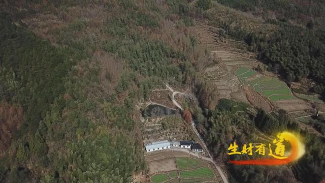 太招“黑”！安徽黟县，名符其实的“黑多”县，五黑特色产业产值超4亿元