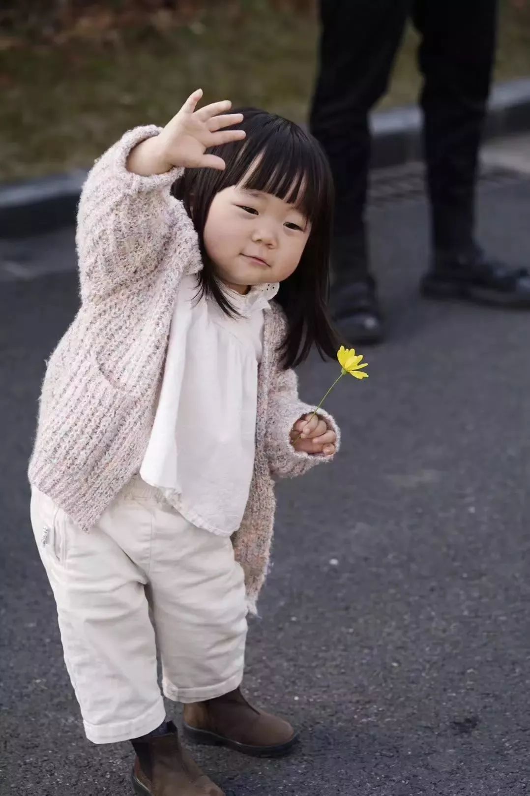 魔都租房实用指南,上海魔都租房记