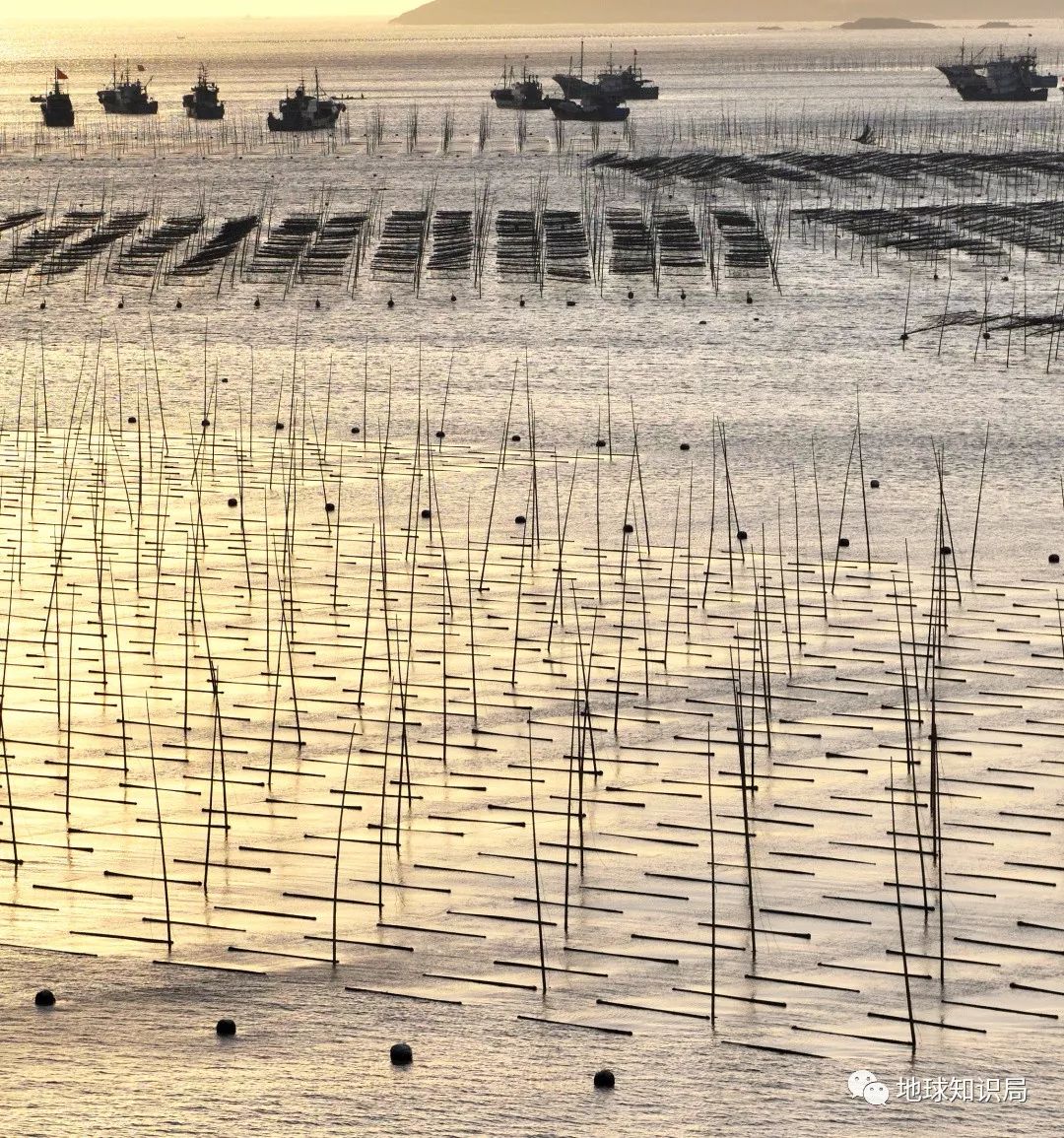 沿海人民是如何喂饱中国的？