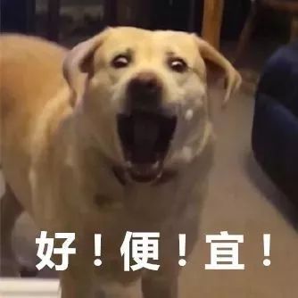 城东新添一处游乐体验式购物中心！开业折扣巨大：服饰3折起、餐饮5折…快来→