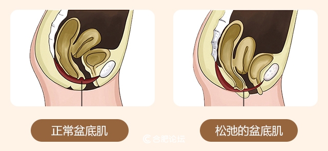 合肥丹凤朝阳产后恢复会所,合肥丹凤朝阳妇产医院好不好