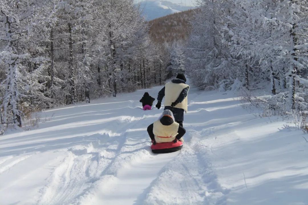 冬季天路旅游攻略大全一日游,秋季游草原天路的最美线路