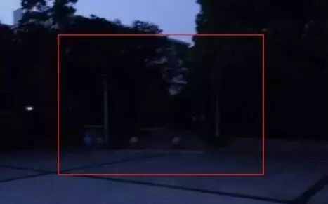 所有人的记忆都停留在了2019年,所有人你的2019年度总结请查收