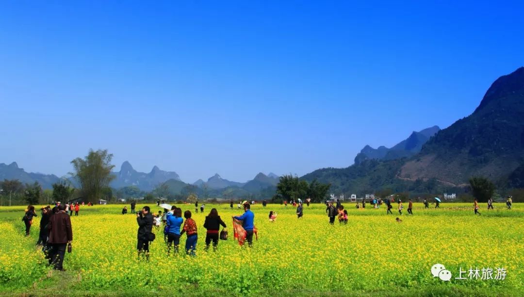 上林一日游必去景点,上林最值得的旅游景点