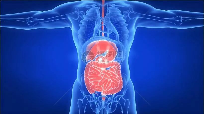 无痛胃镜肠镜陪同家属要注意什么,体检胃镜肠镜肺部ct提前注意什么