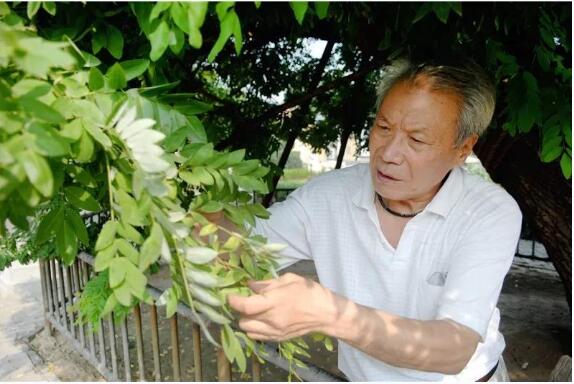 江苏宿豫：平凡的光芒点亮城市，让这一年更有温度