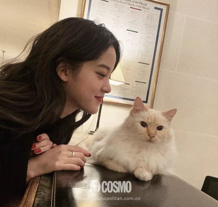 时髦戒指,时髦可调节戒指