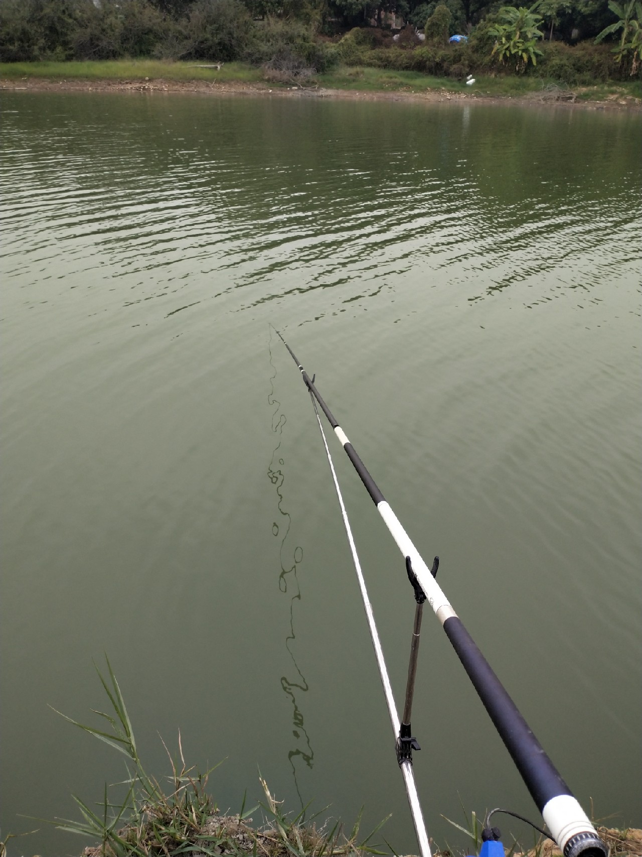野钓水库位置真的很关键,野钓水库最佳位置图