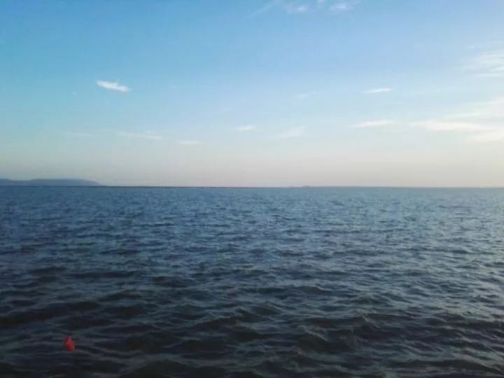 只看外观轻率买了福克斯？配置不高，但适合郊区通勤，搬家都靠它！可为何车主表示不会再选福特？