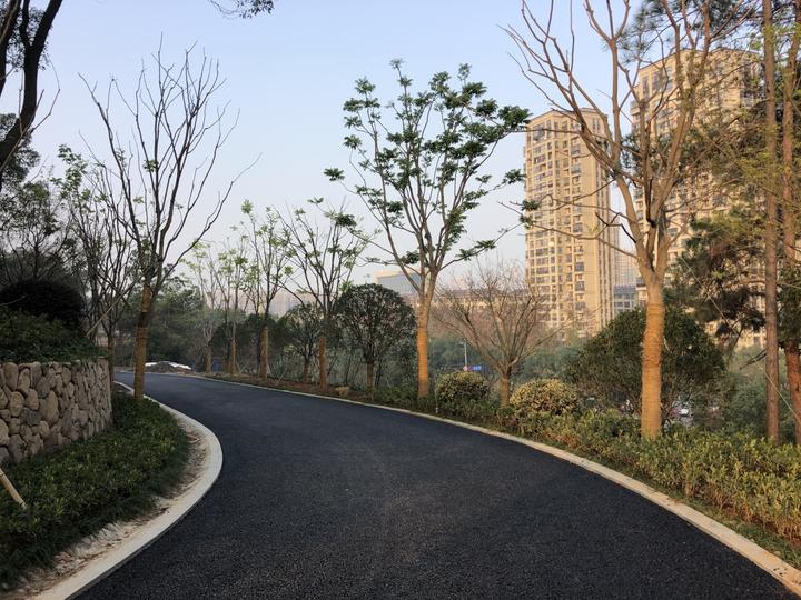 上山游步道不陡了，老小区里建口袋公园，余杭用这些行动，点靓生活中的小确幸