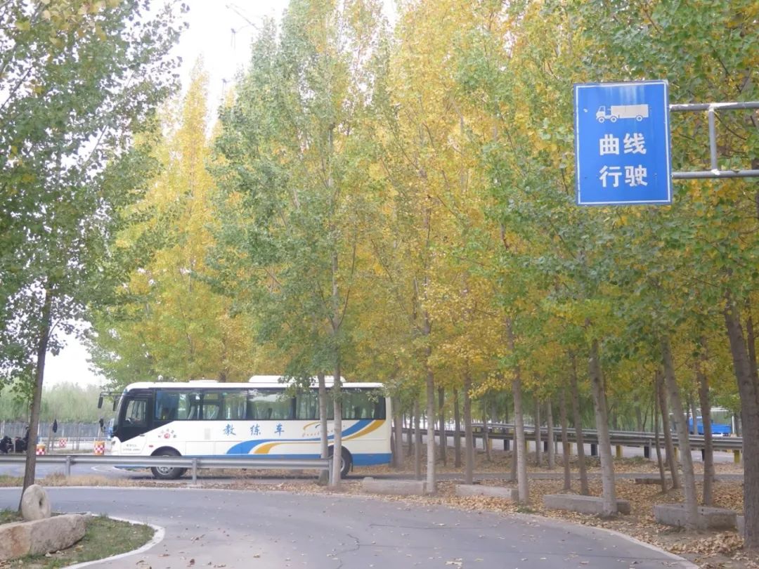 2015济宁驾校排名榜,济宁车管所驾校排名榜