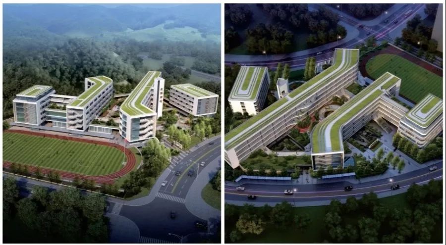 龙华今年40件民生实事敲定！一大波学校、文体、交通“福利”来啦