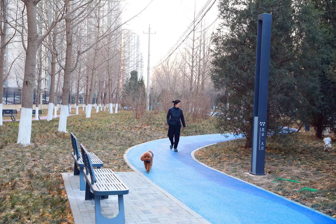 美丽大兴我的家,美丽雄安我的家