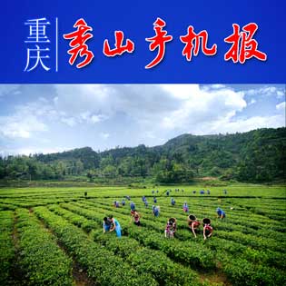 秀山手机报,秀山手机报今日新闻